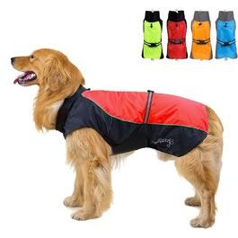 колір: гниль