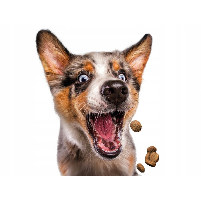 Сухий корм Josera JosiDog Economy для активних собак з куркою, 15 кг