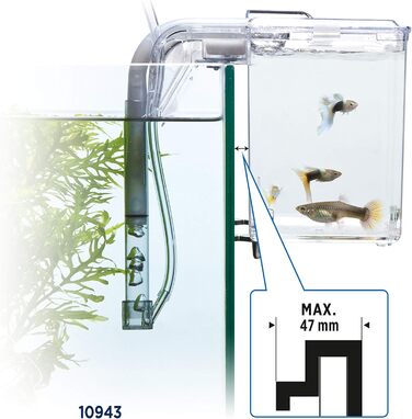 Fluval Hang-On Aufzuchtbecken M: Розведення рибок, об'єм 1.9 л, для акваріума (1 шт.)