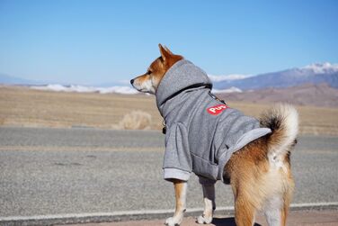 Модний худі для собак і котів ChoChoCho, бавовна, streetwear, білий, 4XL – одяг для маленьких, середніх і великих порід