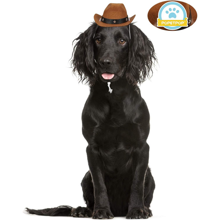 Капелюх ковбойський для собак та котів POPETPOP – веселі святкові капелюхи для домашніх тварин, аксесуари для костюмів на Хелловін та Різдво (колір кавовий)