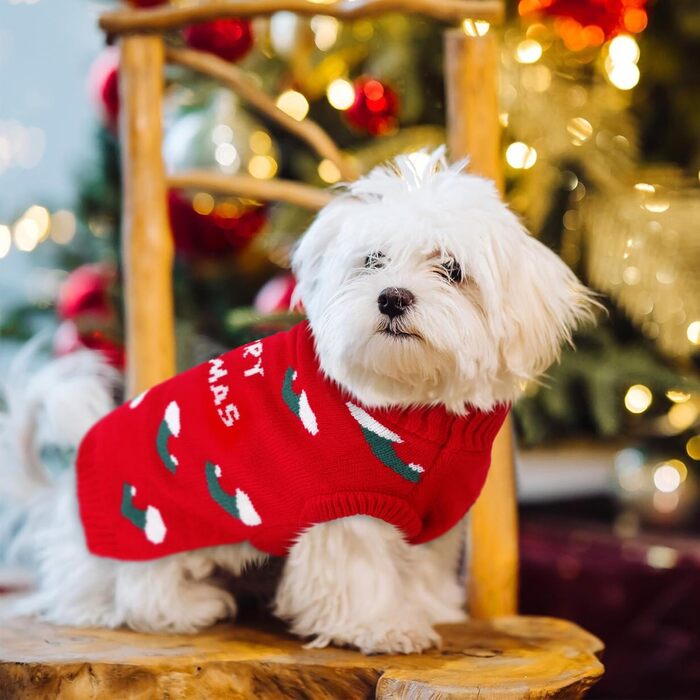 Теплий зимовий светр для собак CITETOILE, м'який та зручний в'язаний халат для собак, водолазка для домашніх тварин у холодну погоду, градієнт кольору для маленьких та середніх тварин, фіолетовий, S (X-Large, червоний)