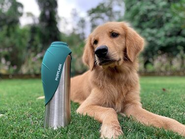 Пляшка для води для собак PupFlask 800/1200 мл, нержавіюча сталь, портативна поїлка для подорожей, герметична, для всіх порід