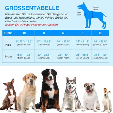 Світлодіодна шлейка для собак з LED-підсвічуванням, перезаряджувана, RGB, блакитна, XS