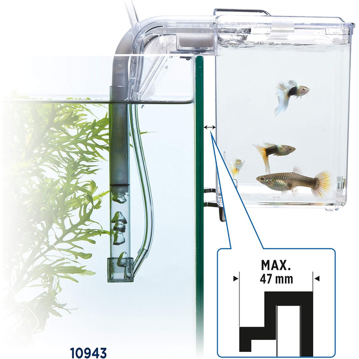 Fluval Hang-On Aufzuchtbecken M: Розведення рибок, об'єм 1.9 л, для акваріума (1 шт.)