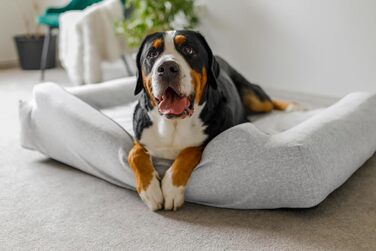 Крісло-ліжко для собак великих, середніх та маленьких порід - Glamour New, L: 98x66 см, знімний чохол