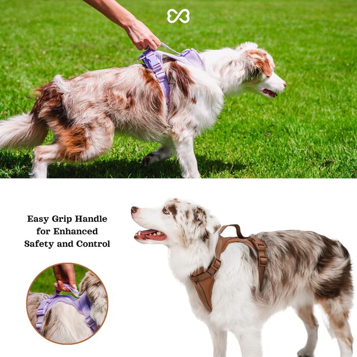 Легка шлейка для собак Easy Walk з ручкою, повідцем і нашийником BearBone, анти-натяжна, для малих, середніх і великих порід