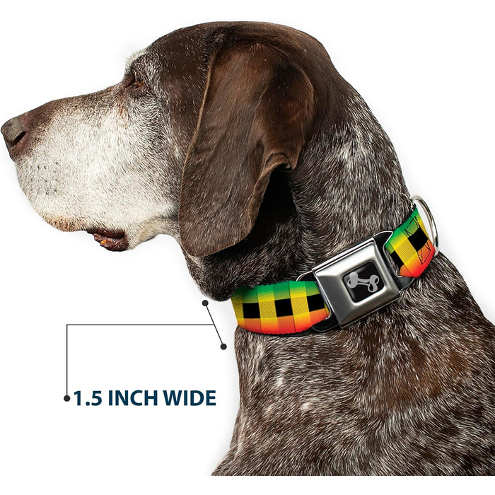 Нашийник Buckle-Down Buffalo Plaid Rasta для собак, кістка, середній, 27,9–43,2 см