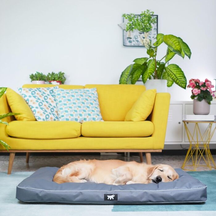Ортопедичний лежак для собак FERPLAST Polo XL - 110 x 70 x 8 см, сірий. Миючий, зйомний наповнювач, стійкий до подряпин