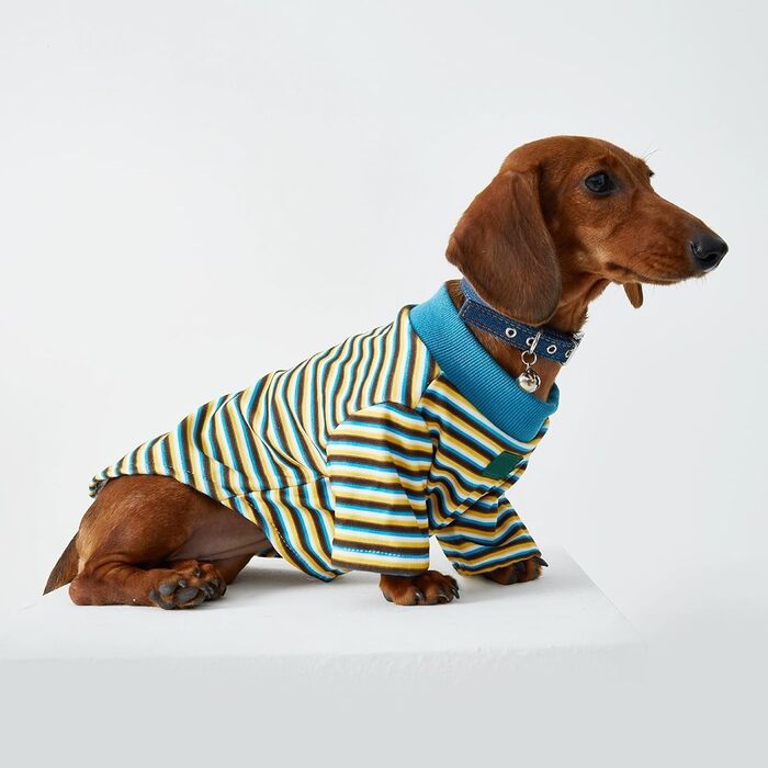 Світшот-куртка для дрібних та середніх собак, теплий пуловер, смугастий, з тонкого флісу, комбінезон для собак, одяг для тварин, двоногий одяг для мініатюрних такс, одяг для собак, червоний S