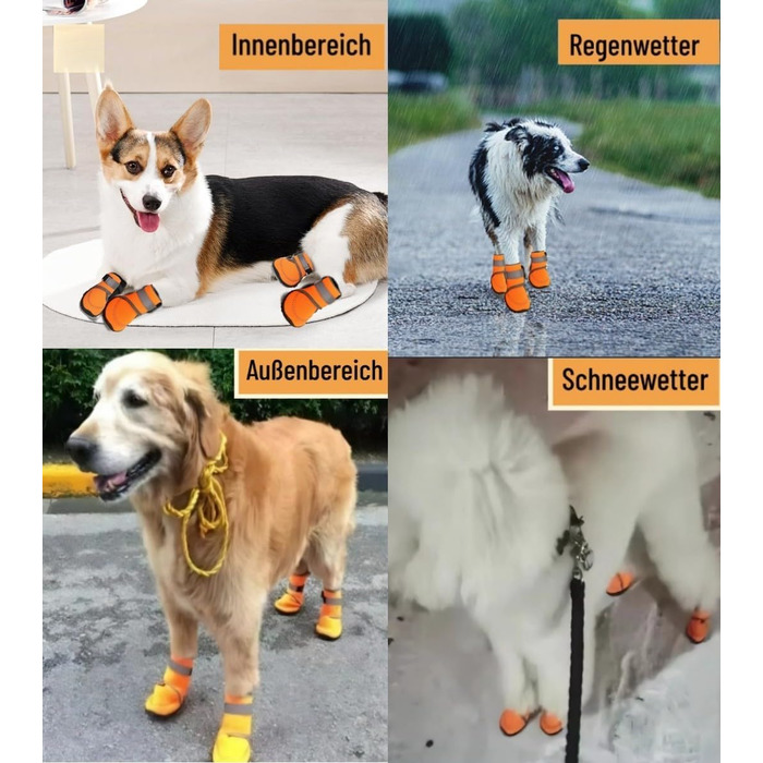 Чоботи для собак: захист лап, антиковзка підошва, для активного відпочинку на природі