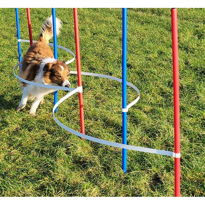 Набір для фристайлу Wuzzmann Agility: 4 боулінгові/тренувальні арки + 6 шлагбаумів (червоний/синій)