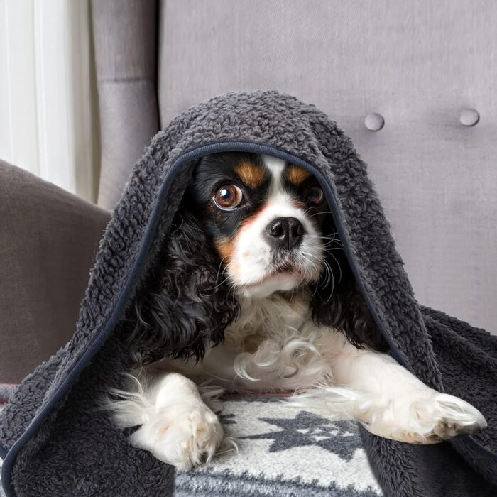 М'який флісовий килимок для собак та котів Nobleza, 160 x 120 см, сірий (XL)