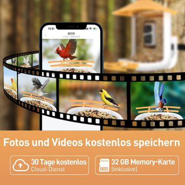 Сонячна годівниця для птахів з Wi-Fi камерою SOLIOM BF09, 1080P HD, автоматичний запис, сповіщення на телефон