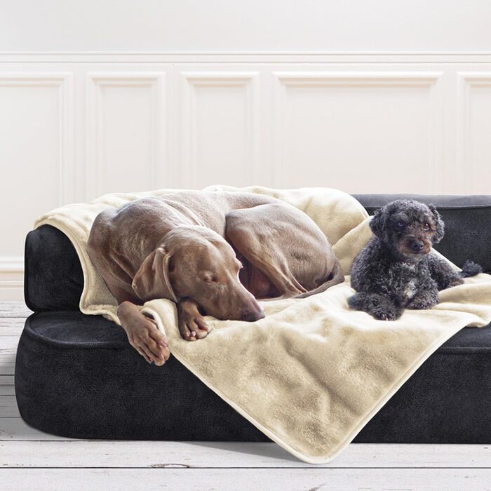 Tierlando® Деко для собак Lilly: М'який, затишний коврик для домашніх тварин, цуценят та котів, плюшевий, XXL (150x100 см), колір кремовий