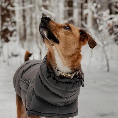 Зимовий теплий одяг для собак - куртка з поліестеру, 75 см | Тепла верхня одяг для собак маленьких, середніх та великих порід, стійка до холоду, модний одяг для активного відпочинку | Зимовий одяг для собак