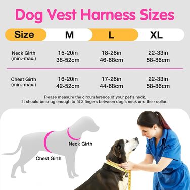 Світловідбиваючий нашийник для собак з LED, перезаряджуваний, зручний, водонепроникний, для середніх та великих собак, зелений (рожевий, M)