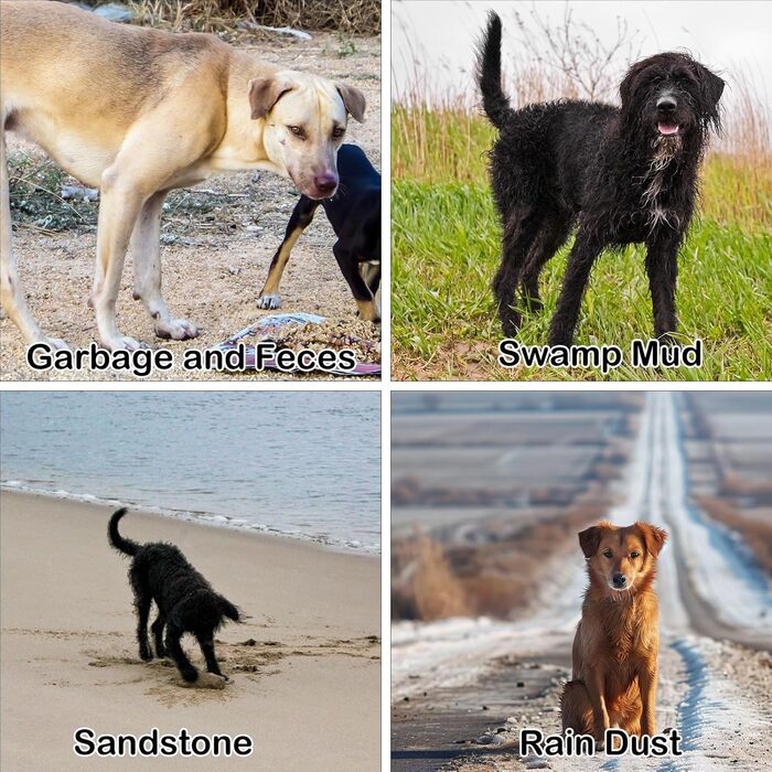 Миска для миття лап тварин, портативна, з м'якою щіткою, для собак та котів, оранжева