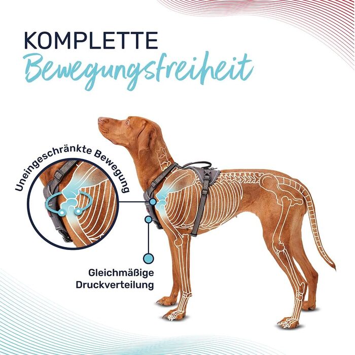 Шлея для собак Company of Animals Halti з ручкою, анатомічна, нейлонова, з неопреною підкладкою, регульована, відбивна, 3 точки кріплення повідка, розмір S, сіра