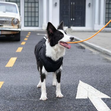 Тепла куртка для собак з повдком, флісова підкладка, зимовий одяг для цуценят, вітронепроникний жилет для маленьких собак, хакі, розмір M (Великий (Упаковка з 1), Чорний (Повдець))