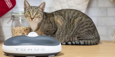 Автоматична поїлка для котів і малих собак Torus Pet Mini, з вугільним фільтром, 1 л, портативна, антимікробна, BPA-free