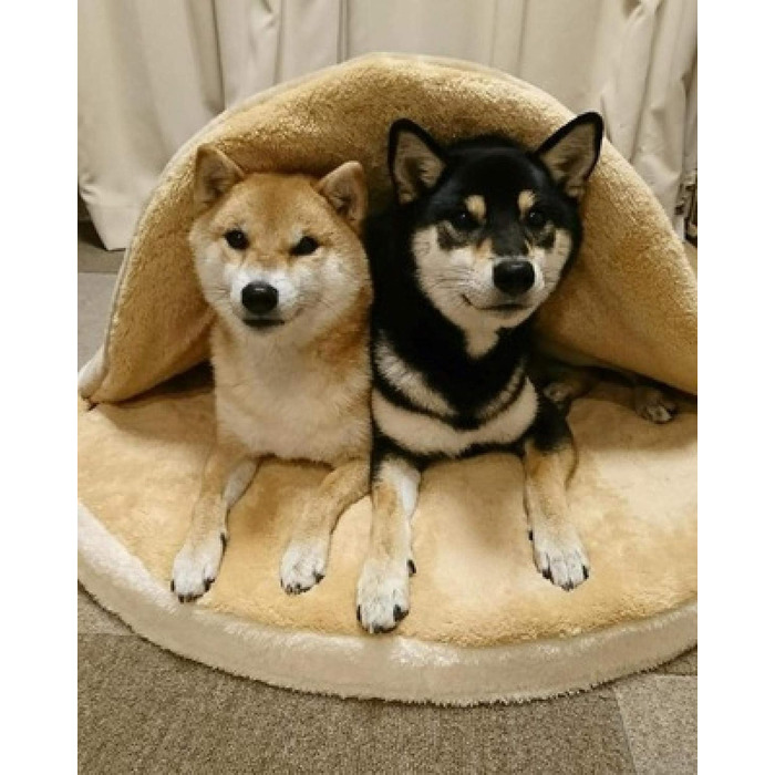 Кругле ліжко для собак та котів Shiba Inu з м'якого плюшу. Лежанка для домашніх тварин, велике ліжко для собак.