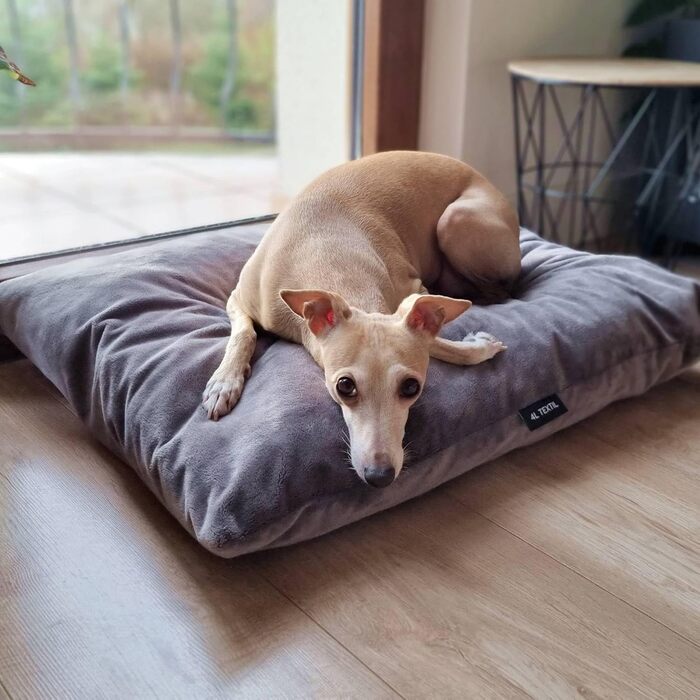 Лежак для собак ZOE, м'який, знімний чохол, графіт, 60x50 см, імітація оксамиту, праний, подушка для собак
