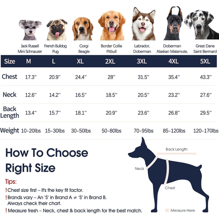 Зелений теплий зимовий пуловер для собак IECOii, великий розмір (XX-Large), для чихуахуа, бульдога, лабрадора