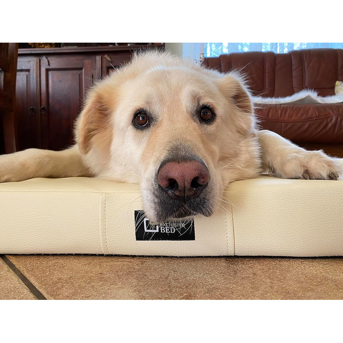 Килимок для собак Tina Grosse - лежанка для собак середнього та малого розміру. Лежанка для собак з еко-шкіри, миється, водонепроникна, м'яка, довговічна, стійка до зношування та розривів (XL, 100x80x8 см, Ecru)