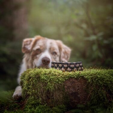 Нашийник для собак Ben&Bruno: міцний, ручної роботи, з паракорду, для собак малого, середнього та великого розміру, білий, розмір L