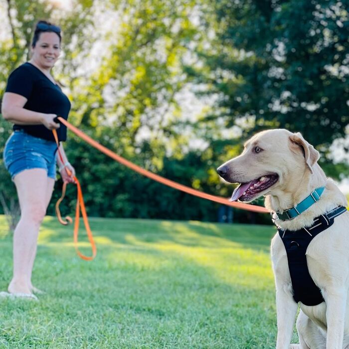 Довгий водонепроникний повідок для собак Total Pet, 15 м, для дресирування, відпрацювання команди «до мене» та слухняності, підходить для собак всіх розмірів