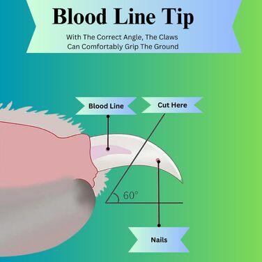 Набір для стрижки та підпилювання кігтів для собак та котів H&A Petcare, професійний, для всіх порід та розмірів, компактний, блакитний