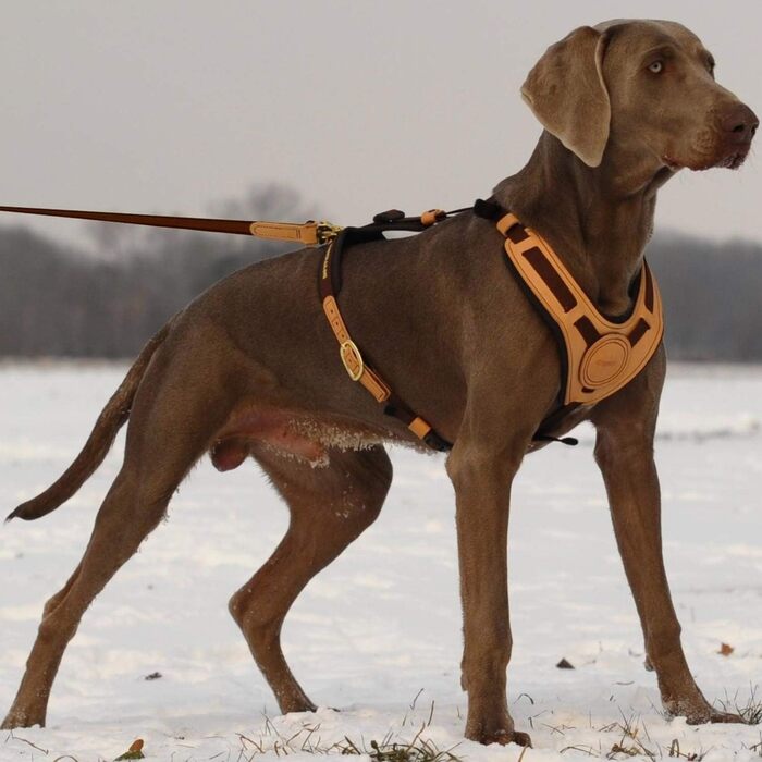 Повідок для собак Niggeloh Mantrailing, коричневий