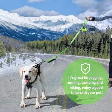 Леєнка для собак IOKHEIRA, регульована (1,2-1,5 м) з безпечним ремінним кріпленням, зручна м'яка ручка та світловідбиваючі нитки (неоновий зелений)