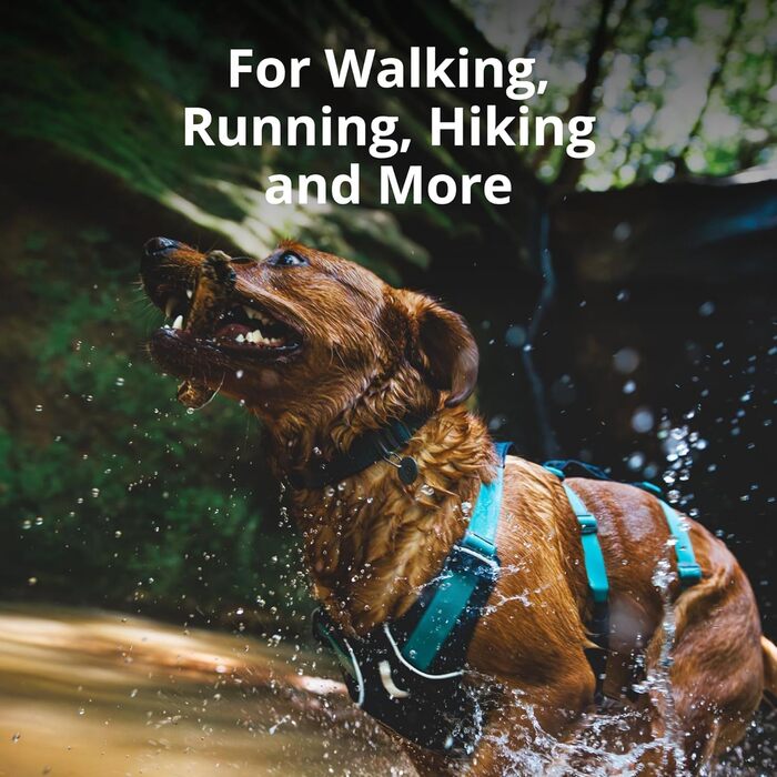 Шлея Ruffwear Flagline з ручкою, легка регульована шлейка для собак, 3 точки кріплення повідка, посилений ремінь і міцний V-подібний металевий кільце, синя, XXS (33-43 см)