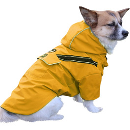 колір: жовтий