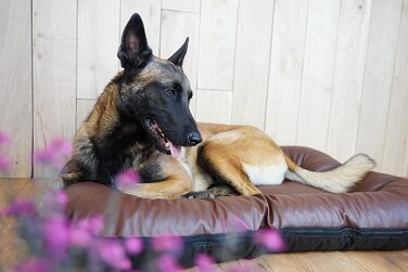 Ліжко для собак середніх порід 4L Textil Ella з штучної шкіри, водонепроникний матрац (90x70 см, коричневий)