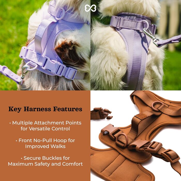Легка шлейка для собак Easy Walk з ручкою, повідцем і нашийником BearBone, анти-натяжна, для малих, середніх і великих порід