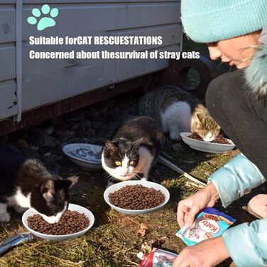 Набір мисок для котів на 6 місць - 6 мисок з кераміки та підставки, широкі миски для котів, що зменшують подразнення вусів, плоскі миски для кошенят та дрібних тварин