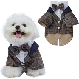 колір: браун з блакитним