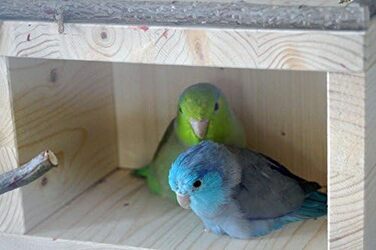 Дерев'яний будиночок Vogelgaleria® для птахів – спальне та захисне житло для клітки або вольєра, аксесуар для хвилястих папуг, агапорнісів, корел, дерев'яний будиночок для птахів