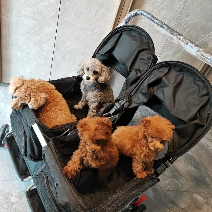 Дитяча коляска Doppel Kinderwagen Easy Walk - чорна, фіолетова, з дощем, для тварин та котів