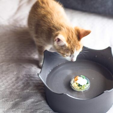 Напійниця для собак та котів VitaJuwel з бамбука з сумішшю дорогоцінних каменів | сірий колір