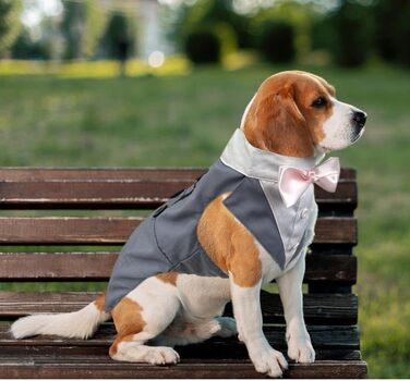 Костюм для собак Lamiaraga сірого кольору, формальний одяг, ідеальний для святкування дня народження, як ринг-берер, костюм для собак, розмір XX-Large