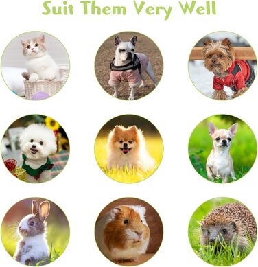 Набори мисок для котів Hamiledyi з підняттям, 4 шт., 15° нахил, нержавіюча сталь, анти-блювотна, не протікає, для кошенят, дорослих котів та кроликів (чорний + білий, 200 мл)