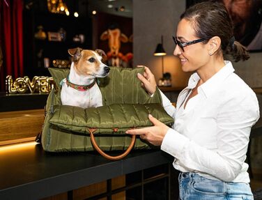 Чорничний собачий рюкзак Flying Dog Sunny 3-в-1: переноска, автокрісло та лежак для собак до 10 кг, оливковий колір