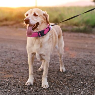Нашийник для собак регульований з контролем, тактичний нашийник з нейлону, м'який нашийник з металевою застібкою, для середніх та великих собак, для полювання, тренувань, активного відпочинку на вулиці, розмір L (45-54 см), колір рожевий