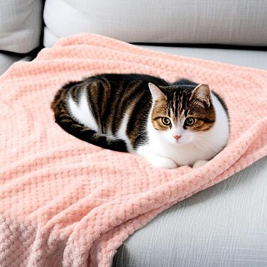 SLSON 2 шт. ковдри для собак та котів, м'які двосторонні ковдри для домашніх тварин, підійдуть для диванів, стільців, авто, подорожей. Теплі, машинне прання, 70x100 см (світло-жовтий та чорно-сірий)