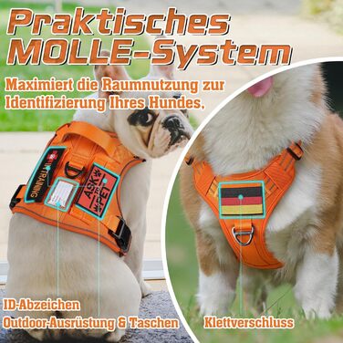 Нашийник для собак Rabbitgoo середнього розміру, анти-тяга, регульований з ручкою, міцний, тактичний, з металевими пряжками, для прогулянок (M, Оранжевий)