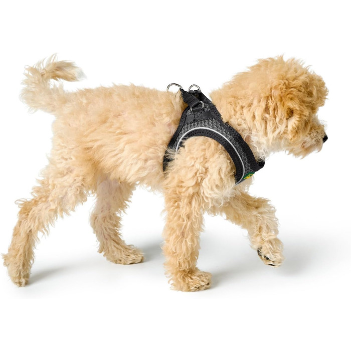 Шлейка для собак HUNTER HILO COMFORT, антрацит, XS-S, легка, з сітчастого матеріалу, для маленьких та середніх собак